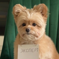 Макс Фарзалиев, 09.04.1998