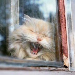 Сергей Савин