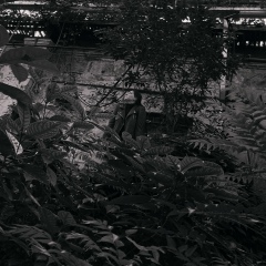 Евгения Никитина, 17.04.1988, Москва