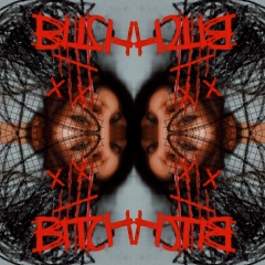 Влада Лисник, Сороки