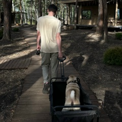 Максим Бабич, 06.04.1994, Омск