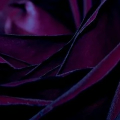 Юлия М, Москва