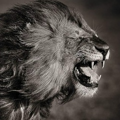 Абай Темиров, Петропавловск