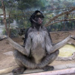 Дмитрий Щелоков, 11.04, Москва