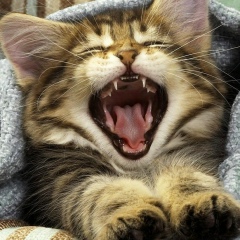 Максим Иванов, 25.04, Пенза