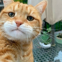 Максим Бабкин, 27.05.1984, Воронеж