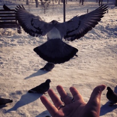 Сергей Грищук, 28.03.1987, Павлодар