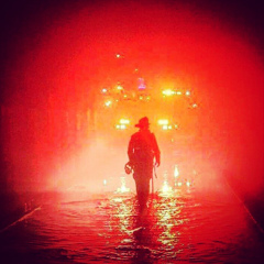 Володимир Палій