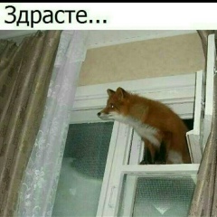 Владимир Патракеев, Архангельск