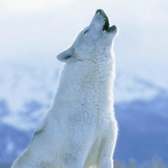 Александр Осокин, 20.11, Саратов