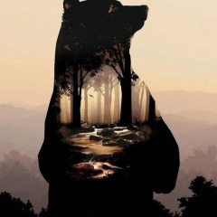 Олег Медведь, Санкт-Петербург