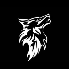 Шамиль Алиев, 19.05.1976