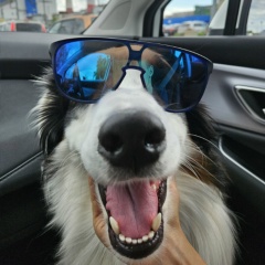 Stanislav Uimenov, 18.09.1987, Пермь