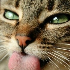 Кристина Турлаева, 09.09, Москва