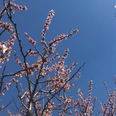 Катерина Чуркина, 02.07.1989