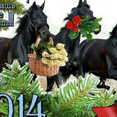 Досберген Реймов, 23.04.1980, Нукус