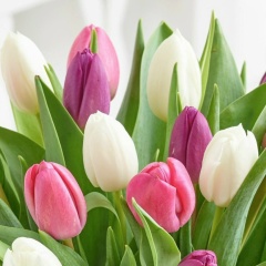 Елена Герман, 13.12.1985, Санкт-Петербург