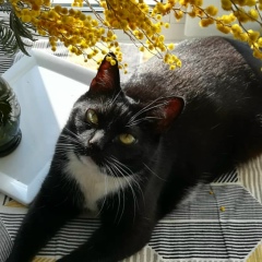 Юлия Матвеева, 10.03, Санкт-Петербург