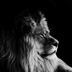 Archi Suleymankulov, 22.08.1902, Мерке