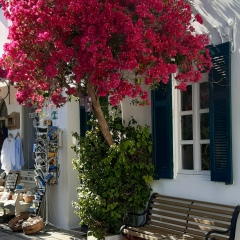 Юлия Суворова, 17.04