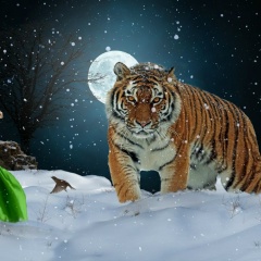 Татьяна Викторова, 06.10.1985, Прокопьевск