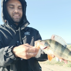 Александр Сула, 18.10, Бахчисарай