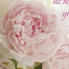 Ольга Цыплакова, 25.10, Череповец