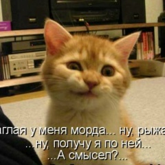 Евгений Васечкин, 31.01