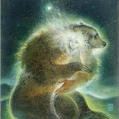 Максим Бухтяк, 01.09.1987, Симферополь