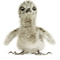 Кирилл Воронов, 07.09.1979, Санкт-Петербург