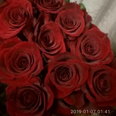 Алла Ковтун, 27.12.1984, Симферополь