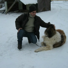 Дмитрий Могилянский, 25.09.1977, Иерусалим