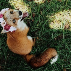 Лора Солдатова, 07.03, Москва