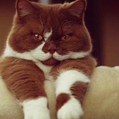 Екатерина Рачвелишвили, 09.10.1992, Кишинев