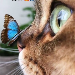 Светлана Ник, Нижний Новгород