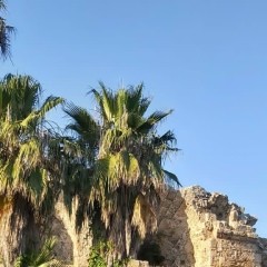 Гена Васильев