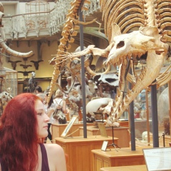 Александра Оспанова, 12.11, Praha