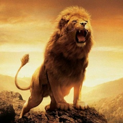 Aung Aung, 07.09.1977, Yangon