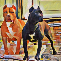 Илья Мелов, 04.06.1901, Berlin