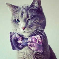 Виталий Матвиенко, 23.02, Караганда