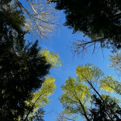 Сергей Сазанов, 17.01.1975, Санкт-Петербург
