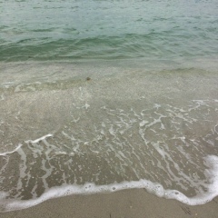 Аягоз Толеубаева, 23.01, Атырау