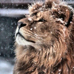 Артём Аракелов, 24.07, Москва