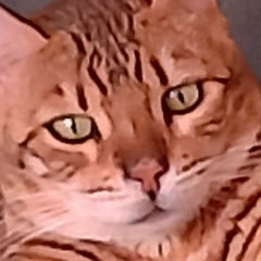 Анна Куликова, 29.07, Санкт-Петербург