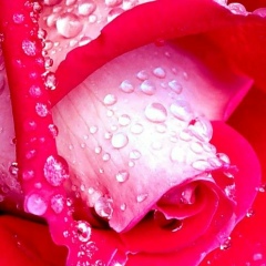 Гульшат Орынбаева, 04.11.1991