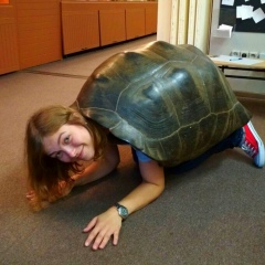 Алиса Шимановская