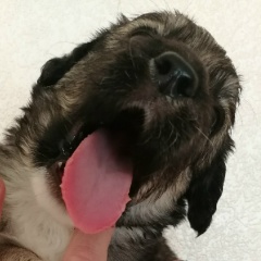 Евгений Редченко, 12.09.1994, Саратов