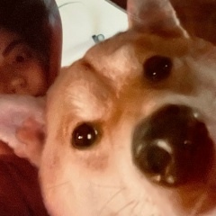 Марианна , 24.03