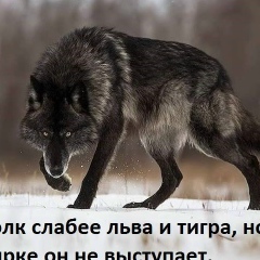 Игорь Ибадуллин, 10.06.1990, Казань