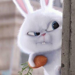 Зарема Умаханова, 05.03, Грозный